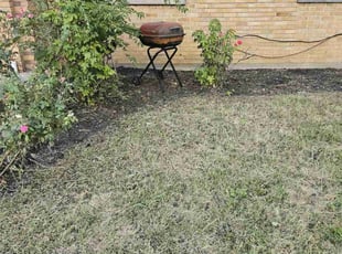 Cleanups by Kevin Philips for Reid H. in Cincinnati, OH