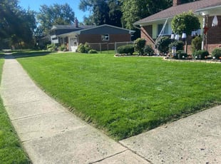Joyce W.'s Lawn Care service result