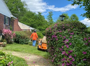 Bush Trimming by Angel P. for Sarah H. in Falls Church, VA