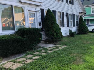 Alberto R.'s Lawn Mowing service result