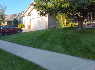 Barry B.'s Lawn Mowing Service service result