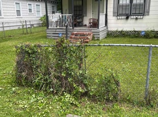 Bush Trimming by Jayson Penn for Arnetta H. in Jacksonville, FL