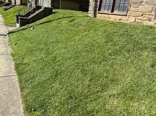 Dan M.'s Grass Cutting service result