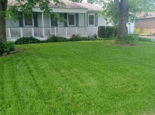 Chris D.'s Yard Cutting service result