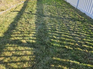 Greg D.'s Lawn Mowing Service service result