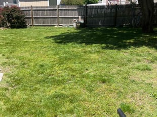 Zelene D.'s Lawn Service service result