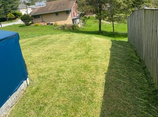 Chandra W.'s Lawn Mowing service result