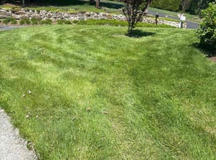 Cleanups by David Alexander for Matt W. in Woodsboro, MD