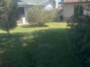 Bush Trimming by Edgardo Canseco for Brandon L. in Phoenix, AZ