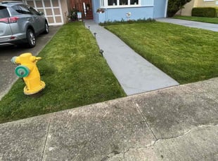 Anjanette J.'s Lawn Mowing service result