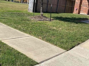 Joann C.'s Yard Cutting service result