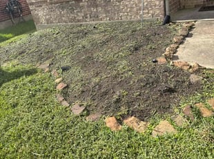 Weeding by Cecilia Dela Fuente for Annisia W. in Rosharon, TX