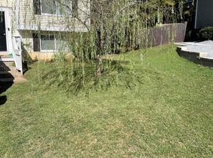 Gretchen W.'s Lawn Service service result