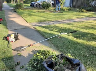 Bush Trimming by Nnedinma Mbagwu for Malene D. in Arlington, VA