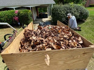 Leaf Removal by Adolfo Andrade Vigil for Renee K. in Adelphi, MD