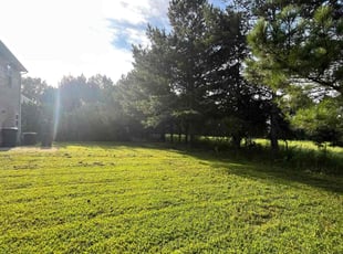Jerry G.'s Lawn Mowing Service service result