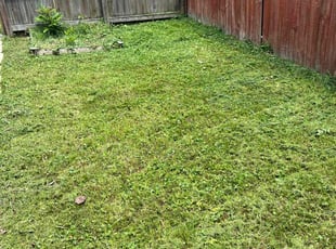 Cleanups by Valera Swearngin for Lauren s. in Virginia Beach, VA