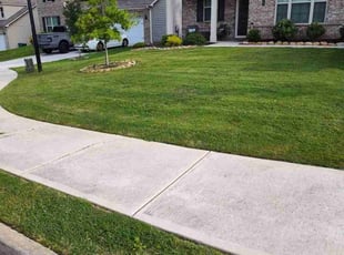Laura W.'s Lawn Maintenance service result