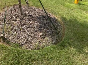 Keno C.'s Landscaping service result