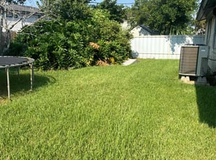 Richard A.'s Lawn Mowing service result