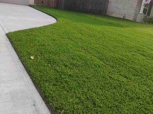 Terry S.'s Lawn Mowing Service service result