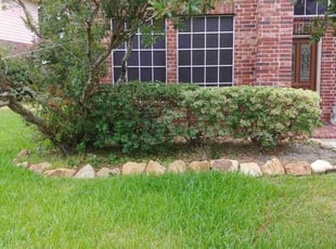 Bush Trimming by Monique Keys for Kimberly S. in Humble, TX
