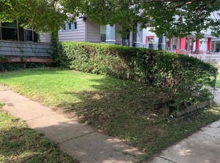 Bush Trimming by Diashon Bryant for Steven F. in Cleveland, OH