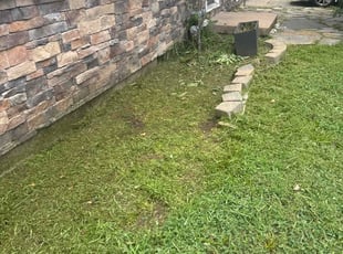Weeding by Sedrick Wesley for Amy S. in Kansas City, MO