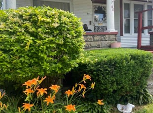 Bush Trimming by Ricardo Binyard Jr for Denise P. in Detroit, MI