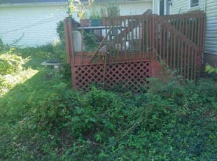 Cleanups by Elizabeth Williams for John S. in South Euclid, OH