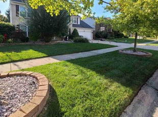 Elana H.'s Lawn Service service result