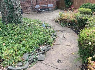 Leaf Removal by Duane Blackwood for Justin S. in Buffalo, NY