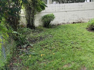 Bush Trimming by Tony Sampson for Linda H. in Tampa, FL