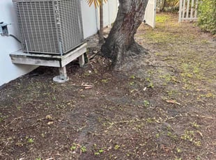 Leaf Removal by Keo Brown for Holger M. in Fort Lauderdale, FL