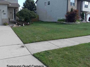 Brian L.'s Lawn Maintenance service result