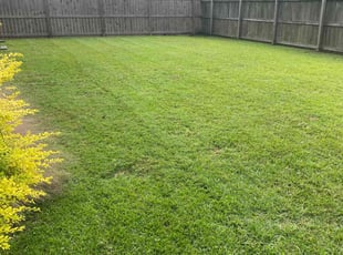 Cindy C.'s Lawn Mowing Service service result