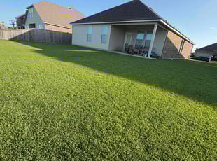 Roxanne S.'s Lawn Service service result