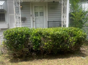 Bush Trimming by Lance Holtman for Jeffery T. in Oklahoma City, OK