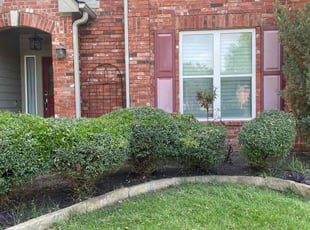 Bush Trimming by Melvin Sanchez for Jackson d. in Plano, TX