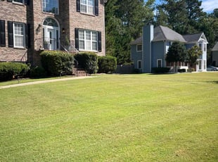 Dan L.'s Lawn Care service result