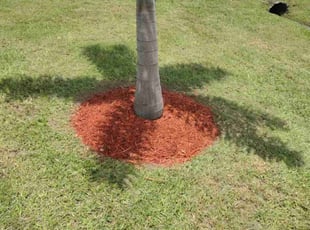 Mulching by Eric Humphreys for joseph J. in Port St. Lucie, FL