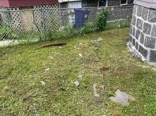 Leaf Removal by Andrew Ventre for Martin P. in Boston, MA