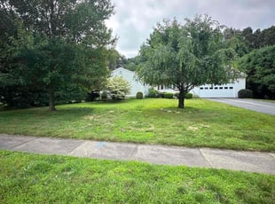 Bush Trimming by Craig Dixon for Stephen S. in Glastonbury, CT