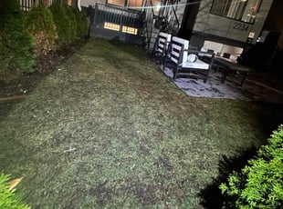 Leaf Removal by Edgar Elmore for Christopher K. in Washington, DC