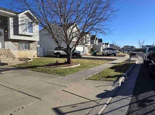 Roxann F.'s Grass Cutting service result