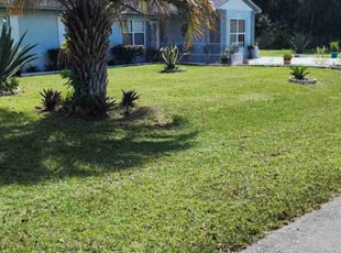 Tammy S.'s Yard Cutting service result
