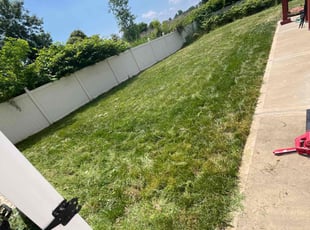 Jonathan M.'s Grass Cutting service result