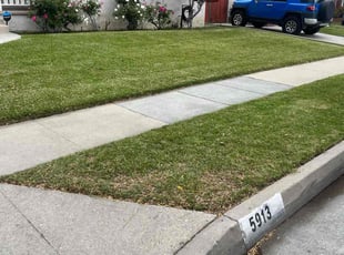Joel W.'s Lawn Service service result