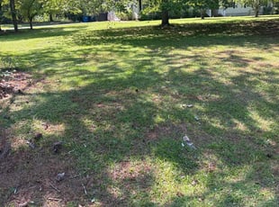 Cleanups by Stephen Bickerstaff for Maggie C. in McDonough, GA