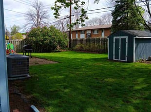 Alesia B.'s Lawn Maintenance service result